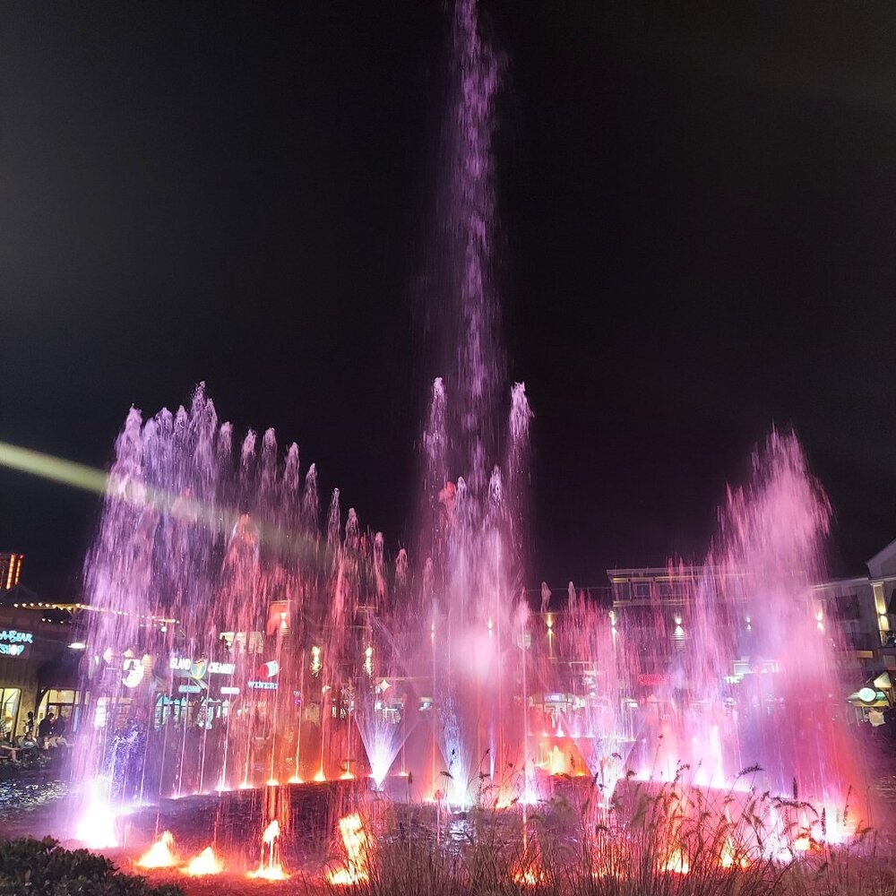 Meet your Posher, Adrienne